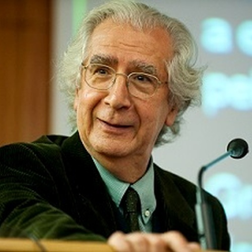 Professor Doutor António Palha