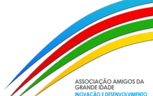 Programa de actividades AAGI-ID 2011