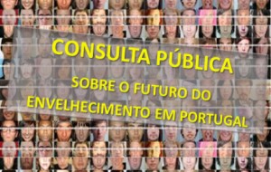 CONSULTA PÚBLICA