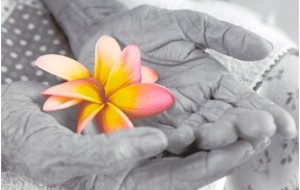 Associação Participa em congresso internacional em Cabo Verde